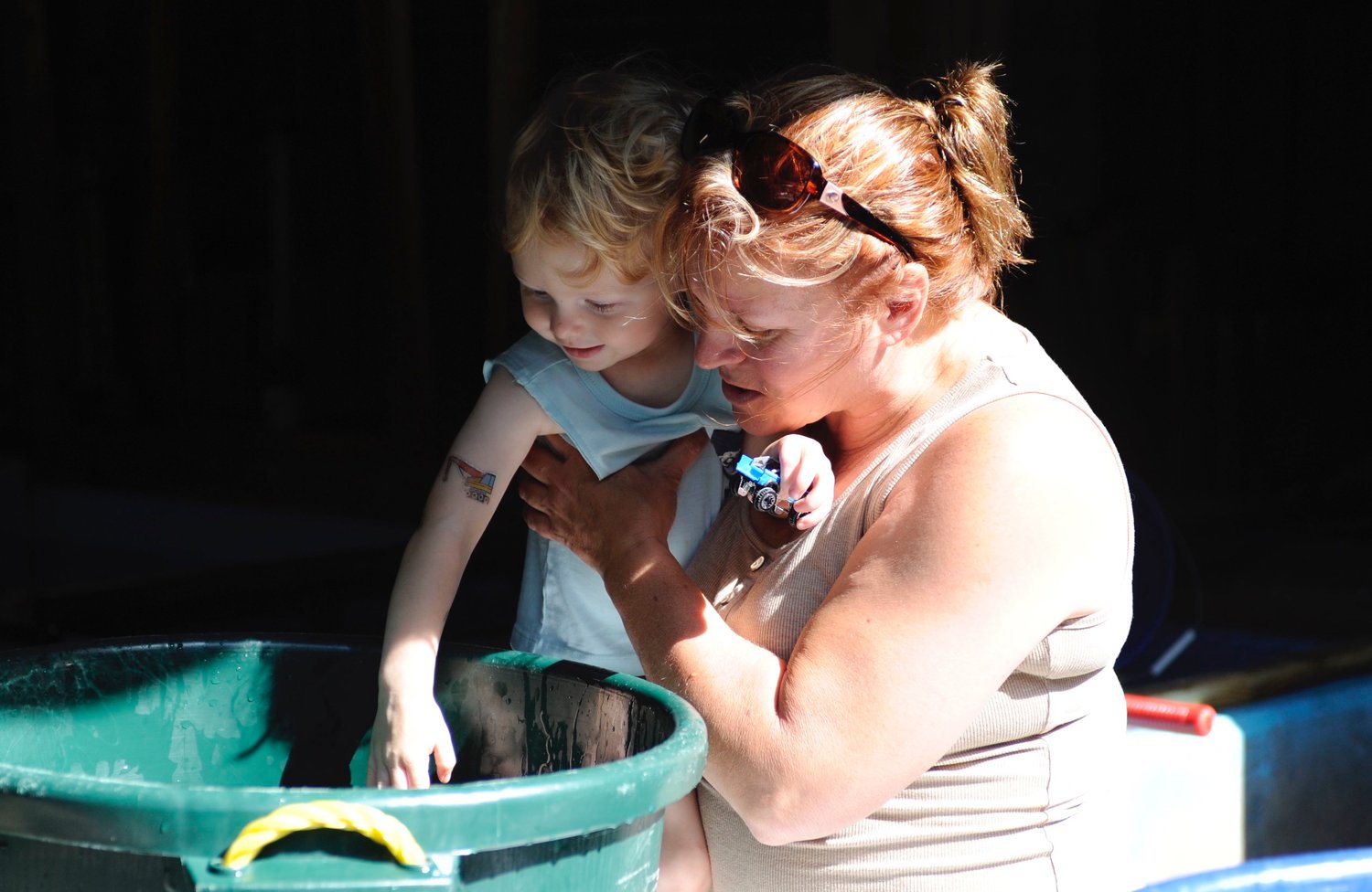 The wonder of life. Jill Grishaber of Jeffersonville, NY, shows 2-year-old Tanner Meckle a basket full of brown trout. In a few minutes, the trout will yield thousands of eggs.